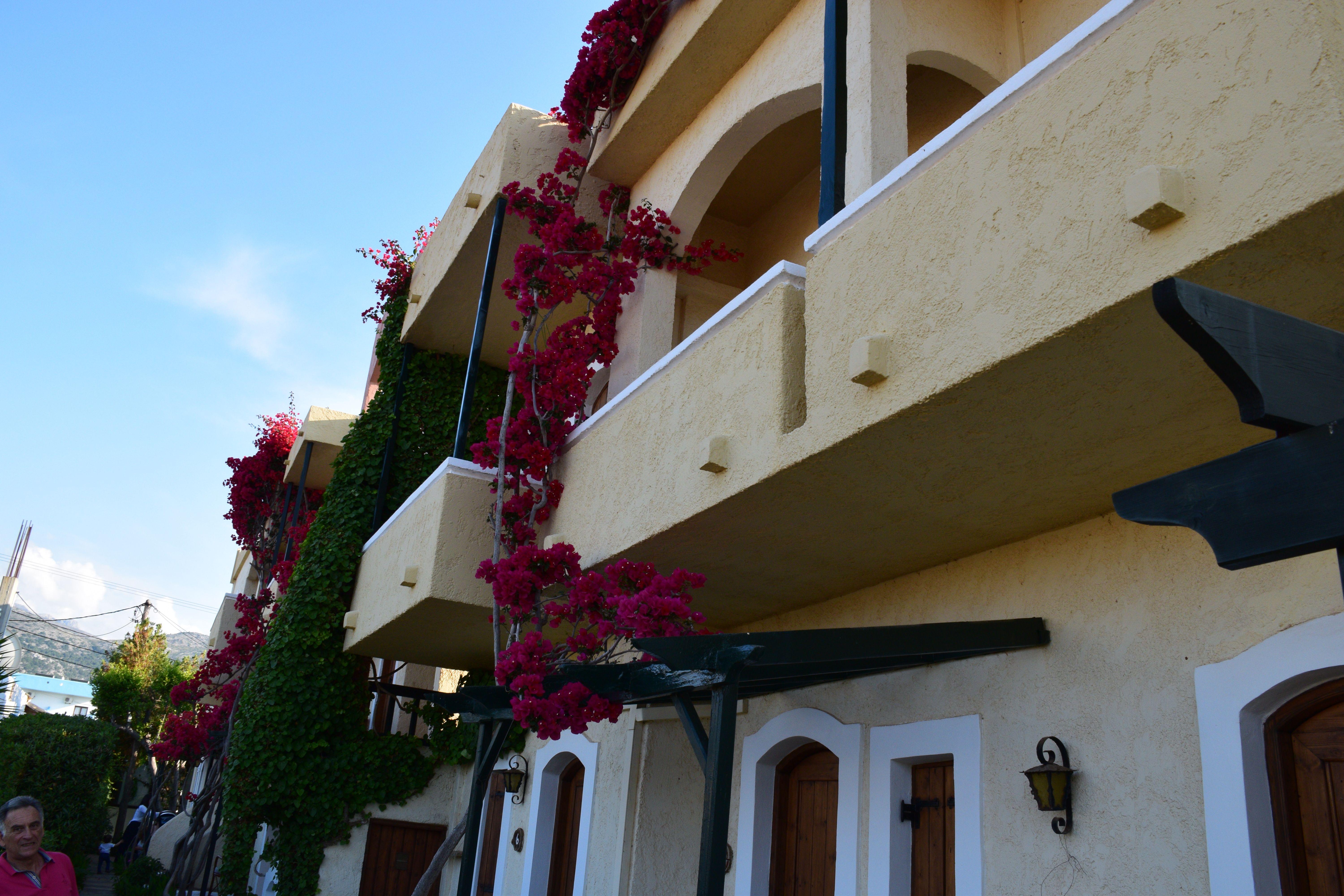 Mila Malia Studios Hotel Dış mekan fotoğraf