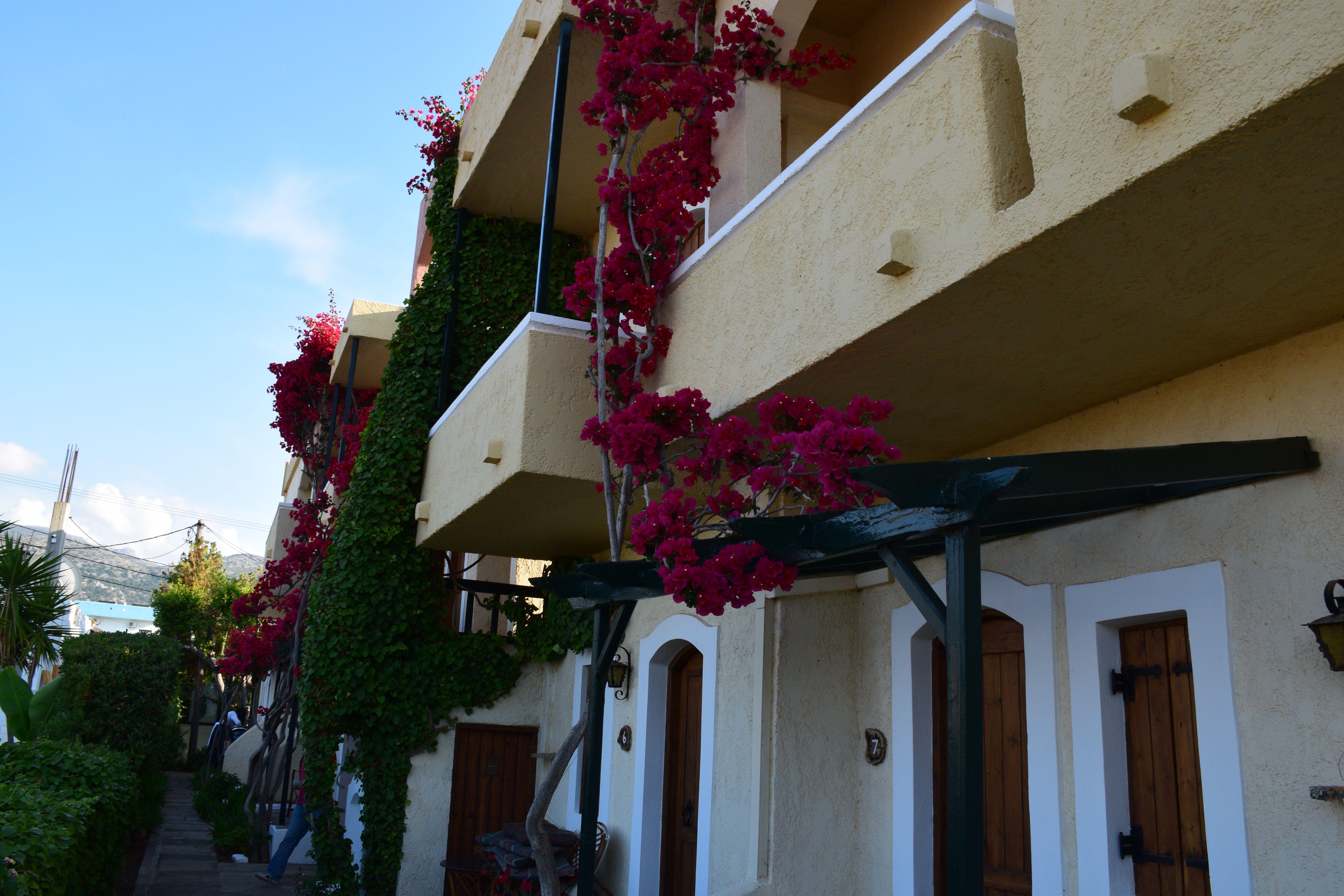 Mila Malia Studios Hotel Dış mekan fotoğraf